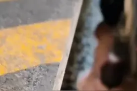 四川南充北火车站一小女孩掉进铁轨 目击乘客：小女孩被拉上来，列车没有晚点图片