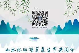 《土地卫片执法图斑合法性判定规则》印发，2022年1月1日起实施图片