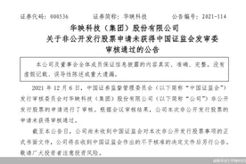 业绩亏损下定增又被否 华映科技再添烦心事图片