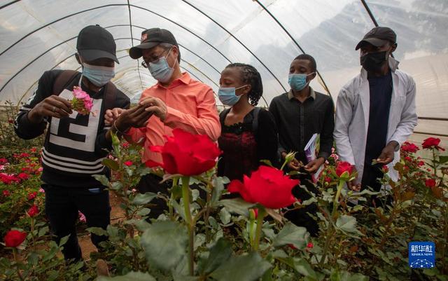 “牢牢把握服务民族复兴、促进人类进步这条主线”——“十个明确”彰显马克思主义中国化新飞跃述评之九