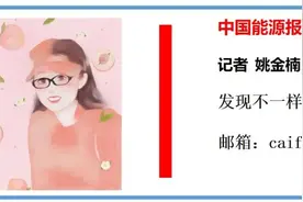 内蒙古风电消纳“压力山大”图片