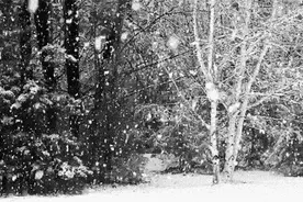 鄂尔多斯部分地区明日仍有雪！这段高速已封闭！最新路况→图片
