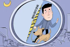 漫·议 | ​逼迫市民熬夜遛狗，岂能如此折腾人图片