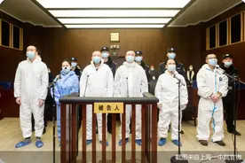 超百万人被骗！诈骗金额高达126亿 又有A股原实控人被判无期图片