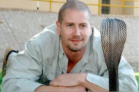 研究：灵长类动物和人类的最后共同祖先对眼镜蛇毒液的抵抗力有所增强图片