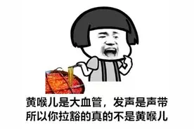 没吼没叫没感冒，声音就是不好听，华西专家说你说话的方式错了图片
