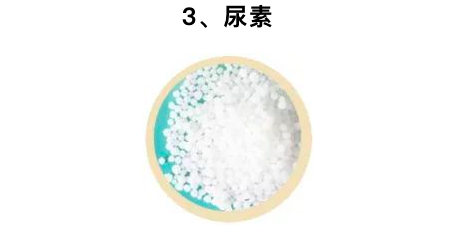 脚裂口子可以涂身体乳吗 脚裂口子可以涂身体乳吗