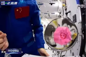 “出差三人组”回家在即，他们在太空做的8个实验值得一刷再刷图片