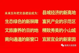 【回顾2021】文县少先队工作风采展——东峪口小学图片