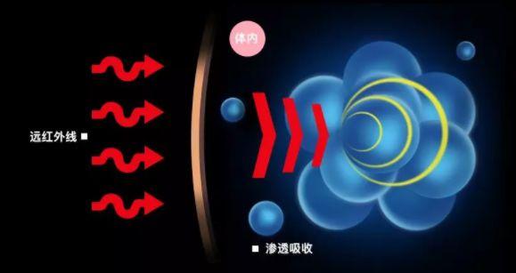 绌夸笂瀹冿紝璁╄禈鑲夆€滈€冪鈥? style=