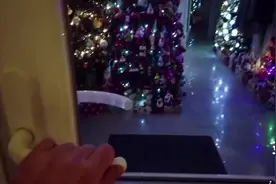 德国一家庭在家里竖起444棵圣诞树 摆放超过1万件饰物图片