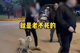 无锡一女子遛狗不牵绳反骂老人“老不死”被行拘，丈夫被罚款图片