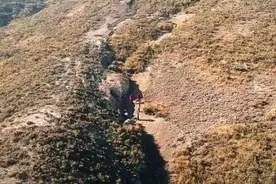 国际最新研究：恐龙奔跑速度可达每小时近45千米图片