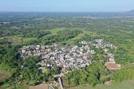 海南：审批“码上办”群众“零跑动”图片