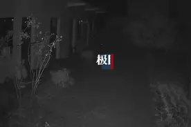 上千人河南泌阳寻陨石，专家：有人找到一颗，仅黄豆大小视频封面