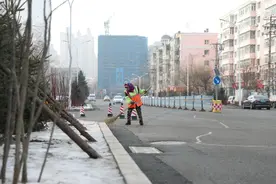 新华全媒+丨守望下一个春天——疫情中的“冰城人”侧记图片