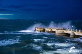 组图｜威海现绝美“荧光海”夺目似星河图片