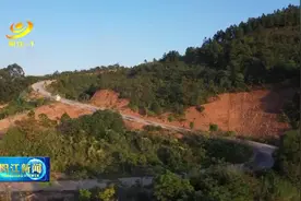 阳东竹篙山森林公园要开园了图片