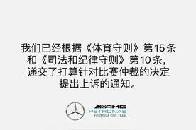 国际汽联驳回梅赛德斯抗议 维斯塔潘确认世界冠军图片