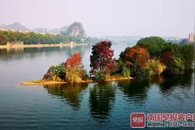 桂林冬日美如画 乌桕红艳夺目令人陶醉(组图)图片