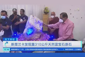 斯里兰卡发现重310公斤天然蓝宝石原石！或为世界最大！长这样→图片