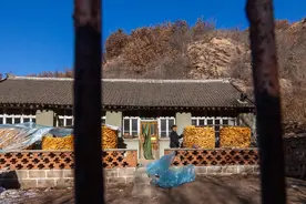 从打工经济到自由恋爱：社会学家谈农村“老实人”为何更容易成为光棍图片