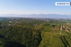 汉文帝霸陵何以选址白鹿原：是政治需要，也有情感因素图片