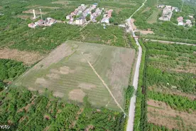 西安白鹿原江村大墓确定为汉文帝霸陵图片