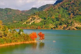 冬游海南⑥ | 冬天，总要去海南五指山看看这“枫”景吧！图片