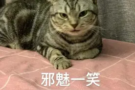 深圳中小学生寒假放假时间来了：2月14日开学图片