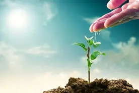 累了吗？累了，就歇歇！（随笔）图片