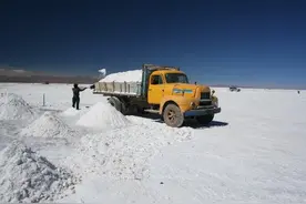 昔日青海首富取保候审，藏格矿业56亿卖股还债图片