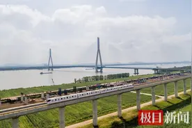 4家医院相继落定，新增学位8000多个，汉南结束了不通地铁的历史图片