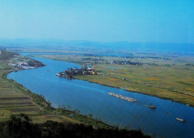 梦到鱼的鱼鳞掉