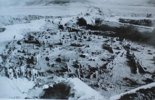 梦到鱼的鱼鳞掉