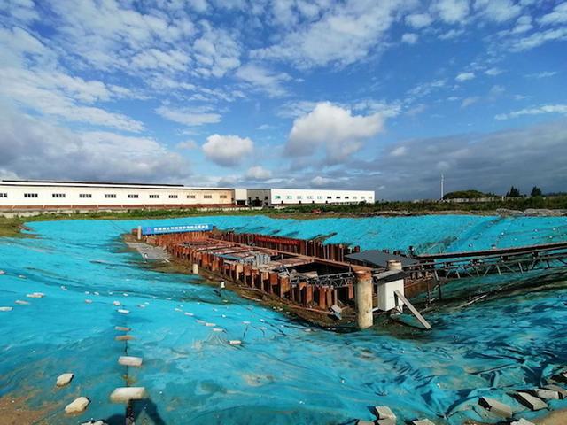 梦到鱼的鱼鳞掉