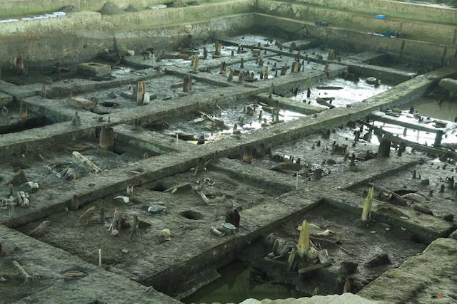 梦到鱼的鱼鳞掉