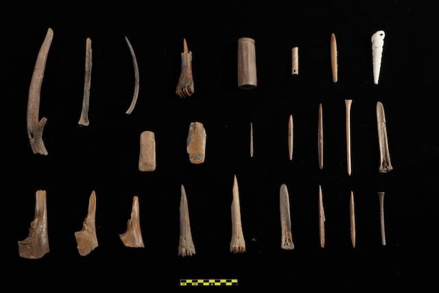 梦到鱼的鱼鳞掉