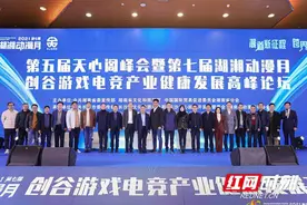 专家齐聚长沙创谷 共谋游戏电竞产业健康发展之路图片
