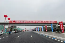 成乐高速扩容项目全线通车图片