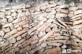 海报直击｜陕西白鹿塬上的江村大墓被确定为汉文帝霸陵 目前不会进行发掘工作图片