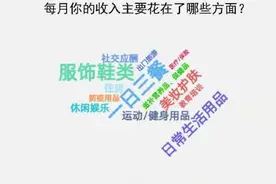 年轻人的收入花在哪了？图片