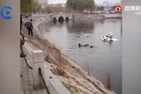 情侣驾车不慎坠湖，两人从车内逃出后男子向路人大喊先救女友图片