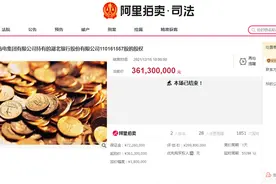 打9折！湖北银行1.1亿股股权拍卖终落锤，股东安能集团退出，IPO之路任重道远图片