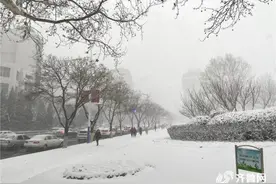 暴雪橙色预警！“雪窝”威海再发力！积雪超10厘米，航班取消高速暂停……图片