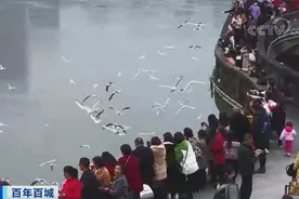 百年百城丨靠竹子，百姓月入上万元！四川宜宾，太宜居了！GDP将破3000亿元图片