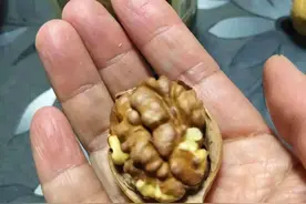 #一学就会快手菜#烤核桃图片