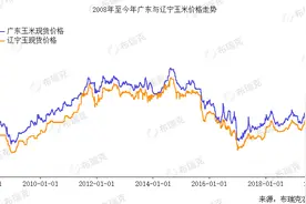 “疯狂”的玉米：去年囤粮净赚5000万，今年为何会破产图片