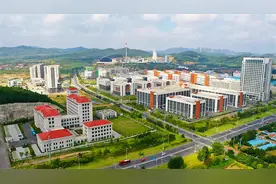 医疗器械与生物医药产业园：千亿集群起势 初村未来可期图片