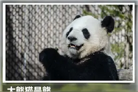 这些有趣的动物界里的冷知识 你知多少？图片